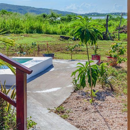 Cashaw Cabin - Private Retreat With A Pool Treasure Beach Bagian luar foto