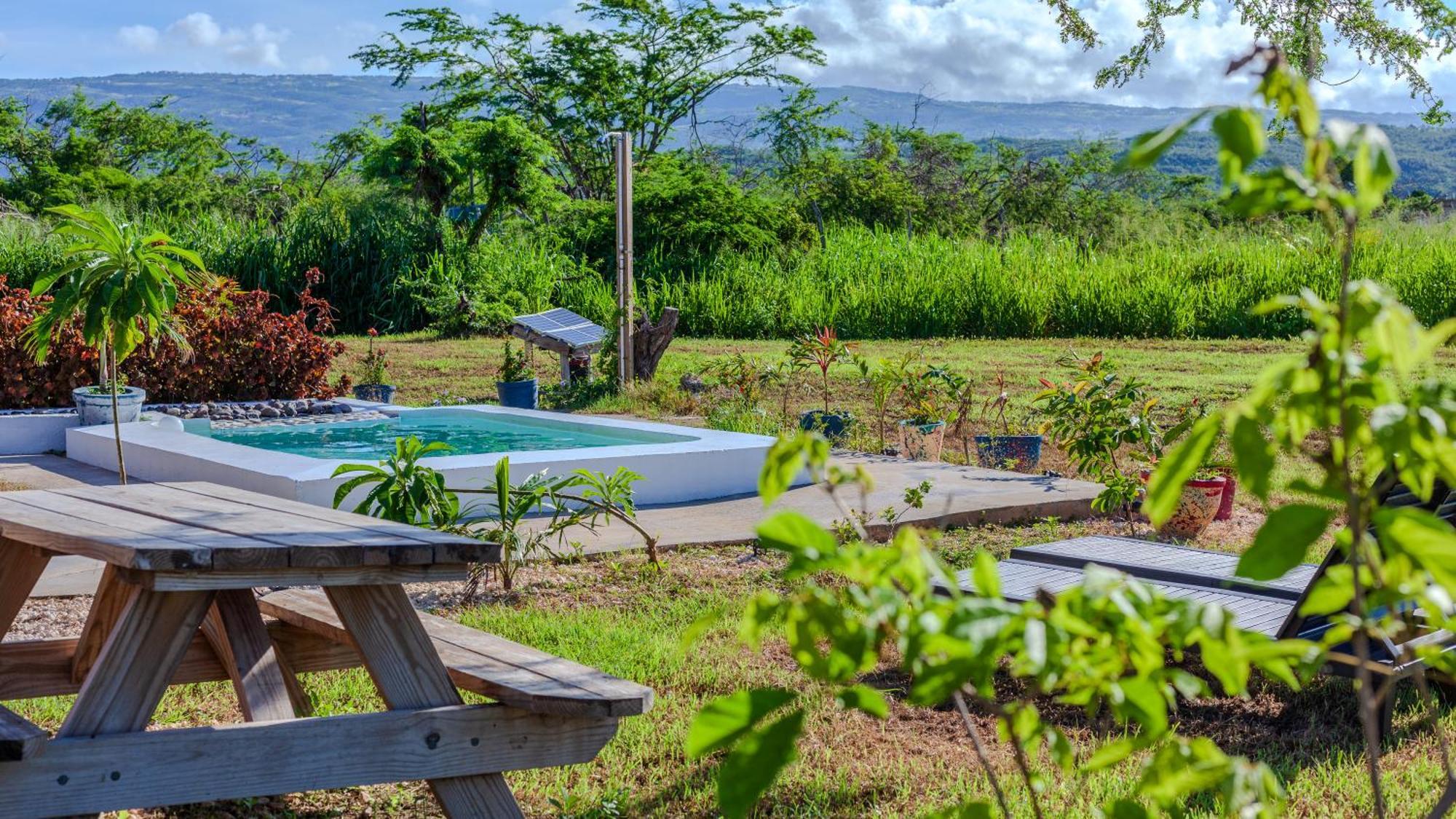 Cashaw Cabin - Private Retreat With A Pool Treasure Beach Bagian luar foto
