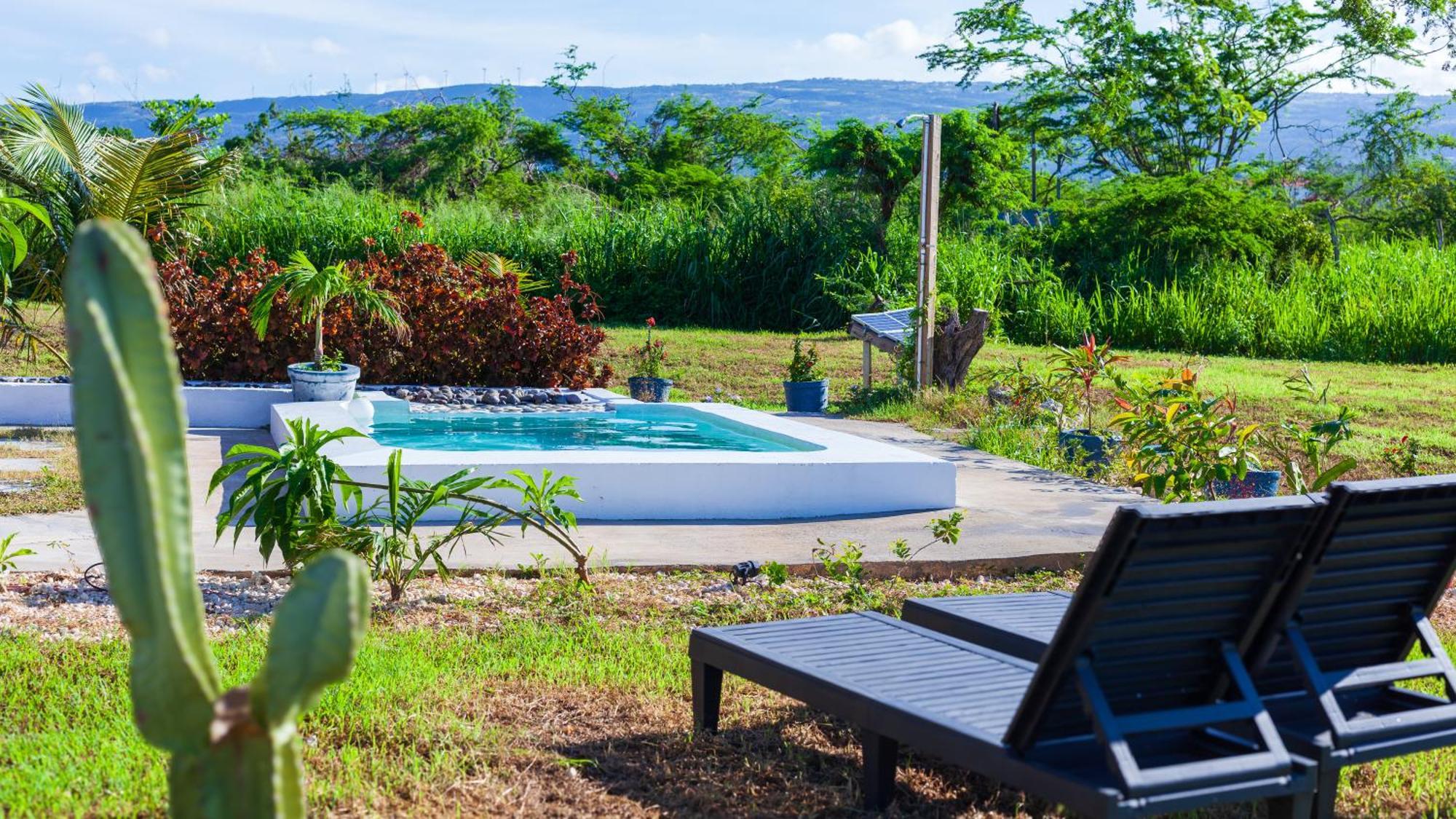 Cashaw Cabin - Private Retreat With A Pool Treasure Beach Bagian luar foto